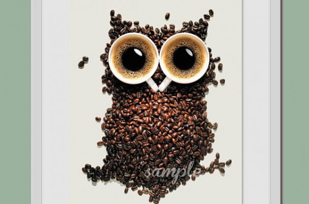 coffee owl